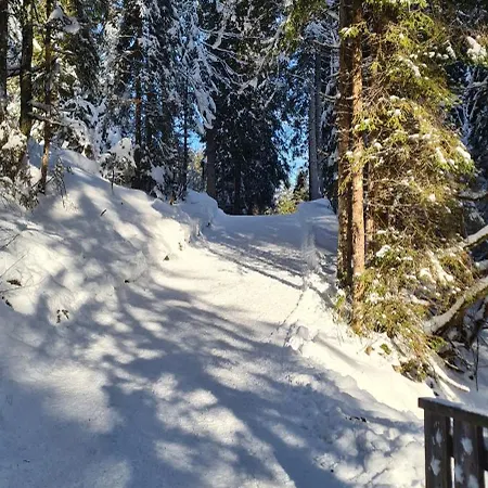 Ferienwohung Blick Auf Kleinwalsertal * Riezlern