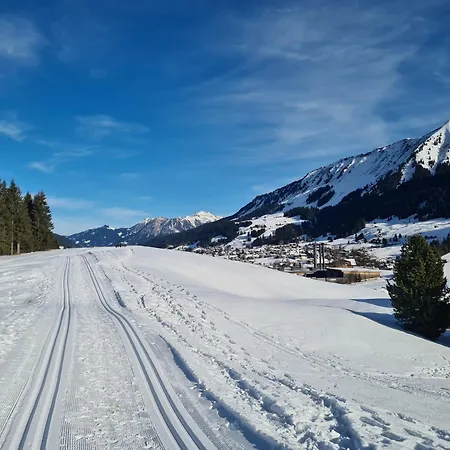 Ferienwohung Blick Auf Kleinwalsertal Riezlern