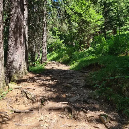Apartman Ferienwohung Blick Auf Kleinwalsertal *